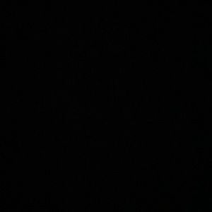 Meet your Posher, Riya